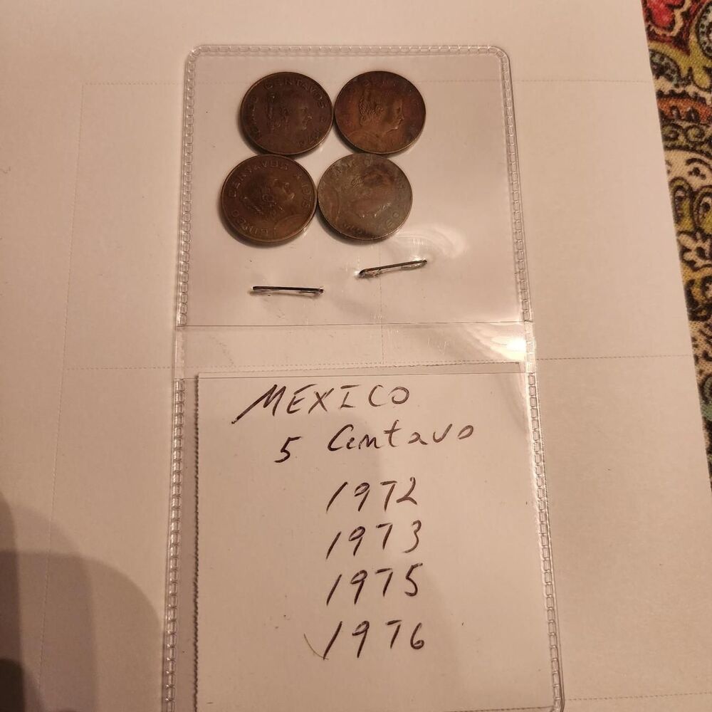 Palace Brown Collectibles